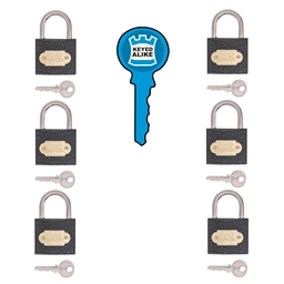 P1D20 - Iron Keyed Alike
